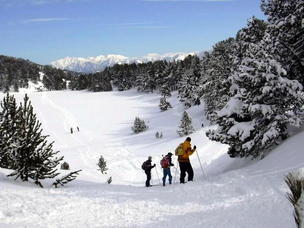 Le Chalet Du Ticou Bolquere Bagian luar foto