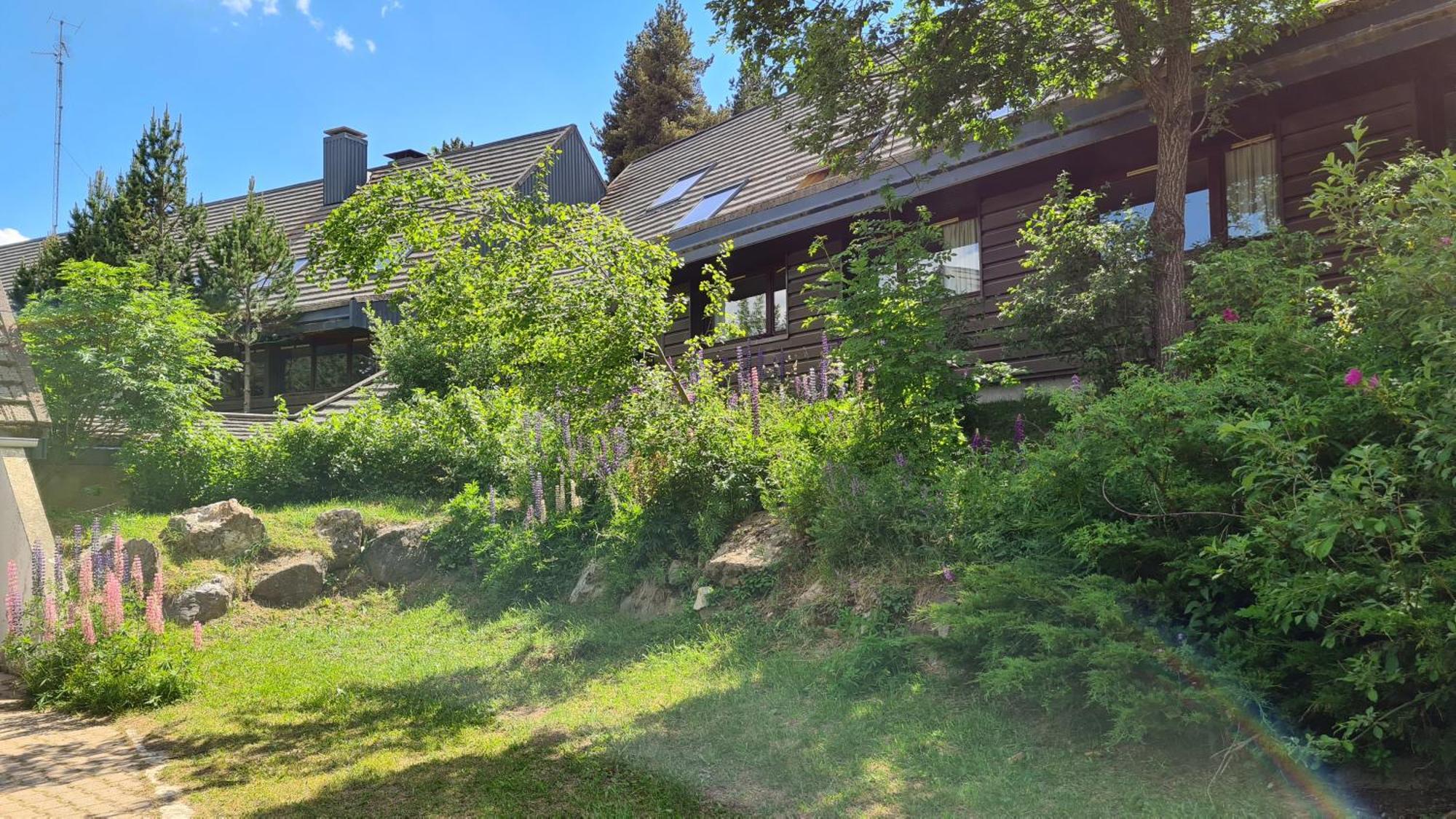 Le Chalet Du Ticou Bolquere Bagian luar foto
