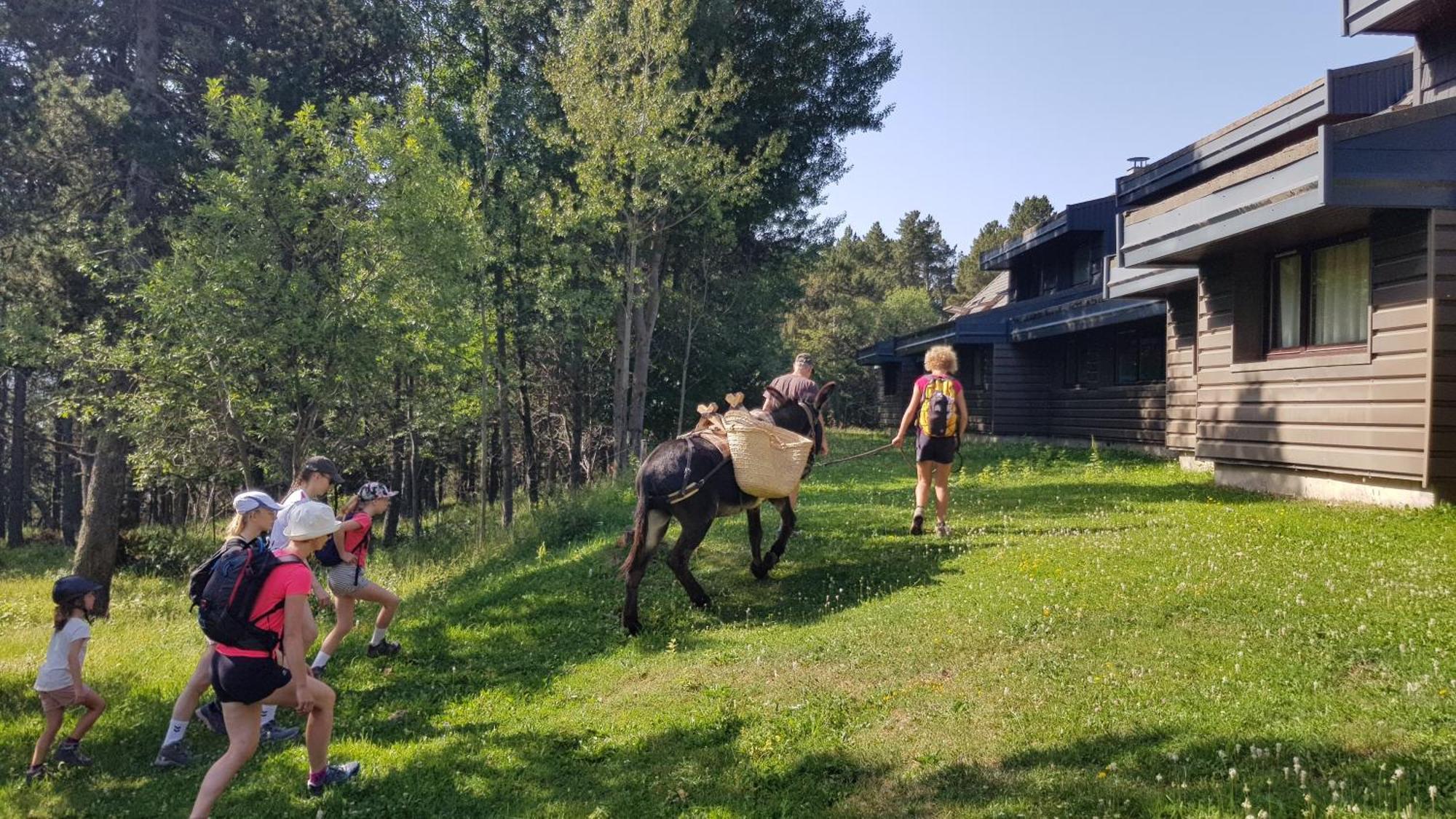 Le Chalet Du Ticou Bolquere Bagian luar foto